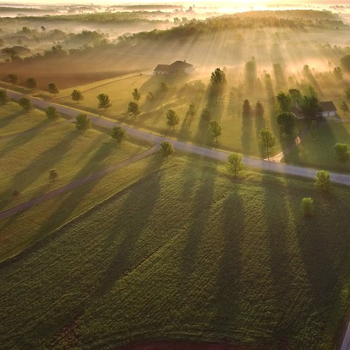 Magical sunrise through ground fog with long shadows and sunbeams.