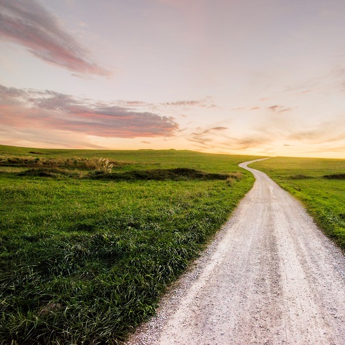 A path in a green hill at sunset