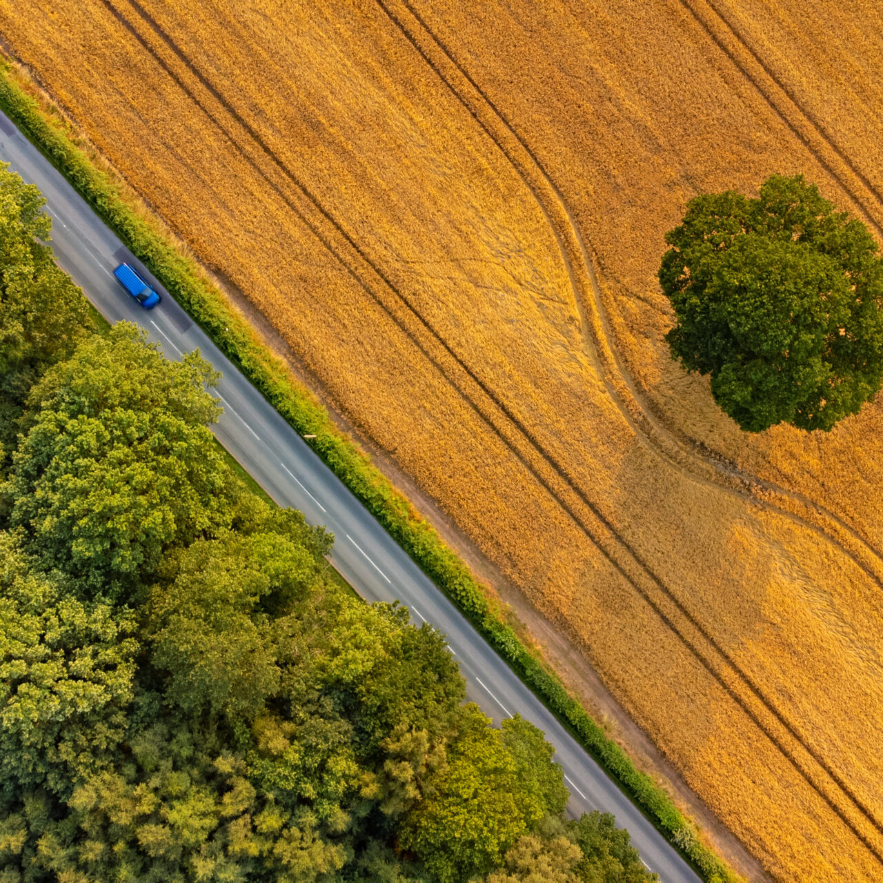 Wide angle aerial view of late summer fields and deciduous trees, and blue vehicle driving along country road.